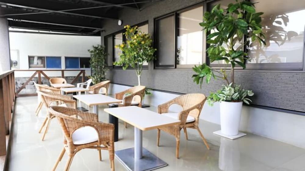 テラス / パティオ