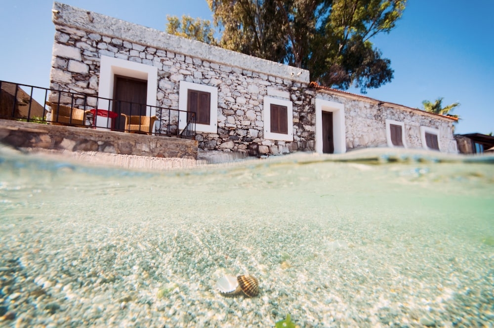 メイン イメージ