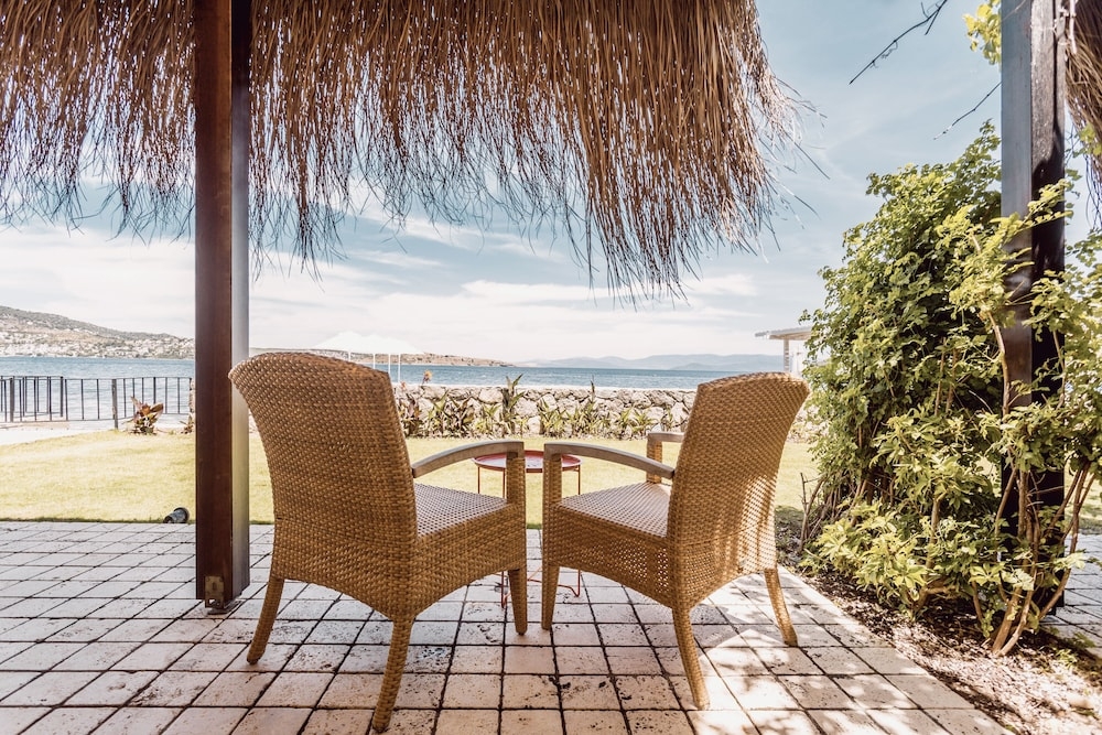 部屋からの景観