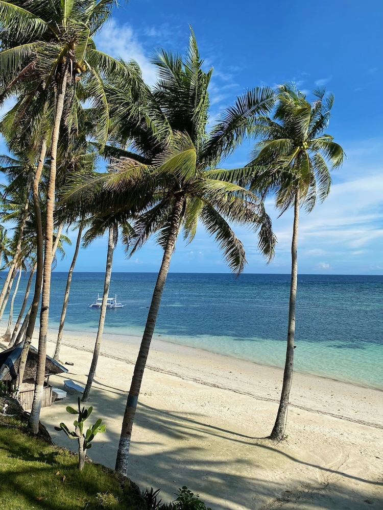 ビーチ / オーシャン ビュー