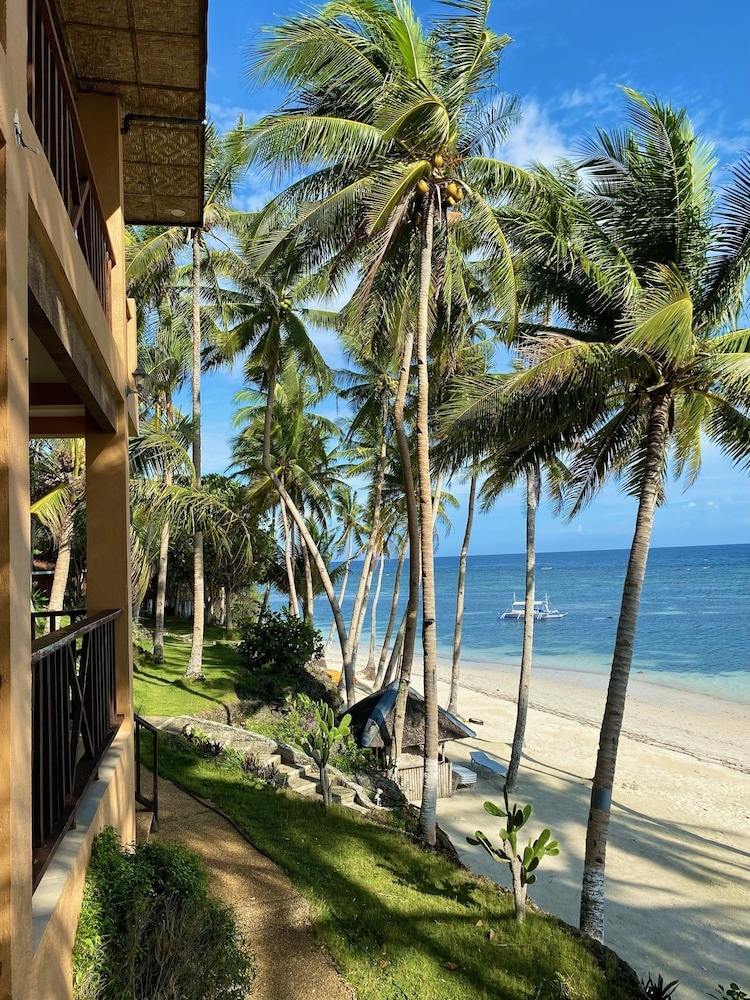 ビーチ / オーシャン ビュー