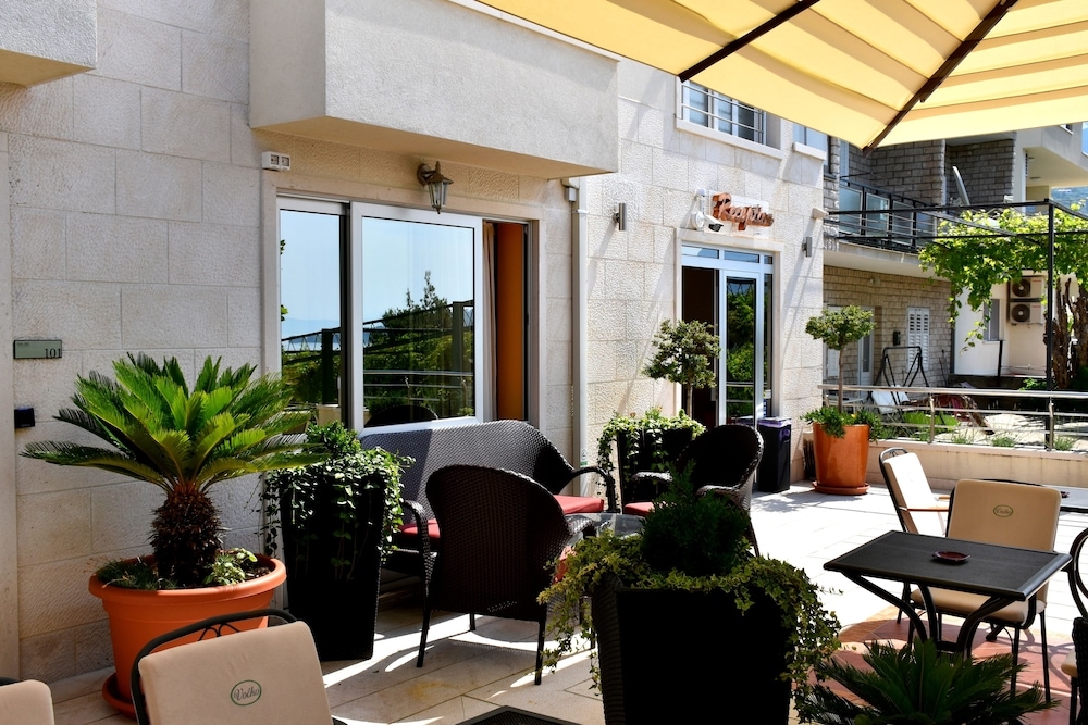 テラス / パティオ