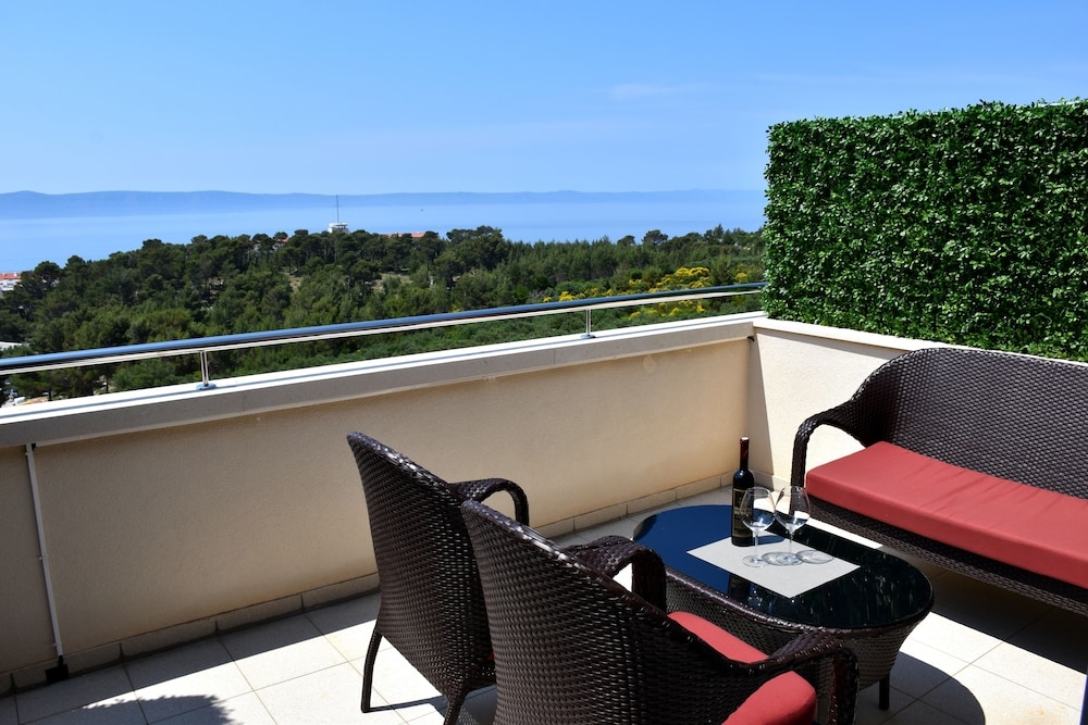 テラス / パティオ