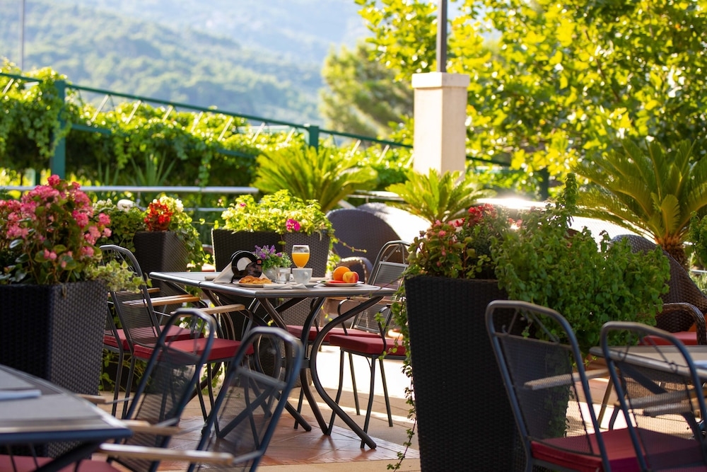 テラス / パティオ