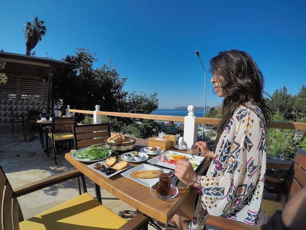 テラス / パティオ