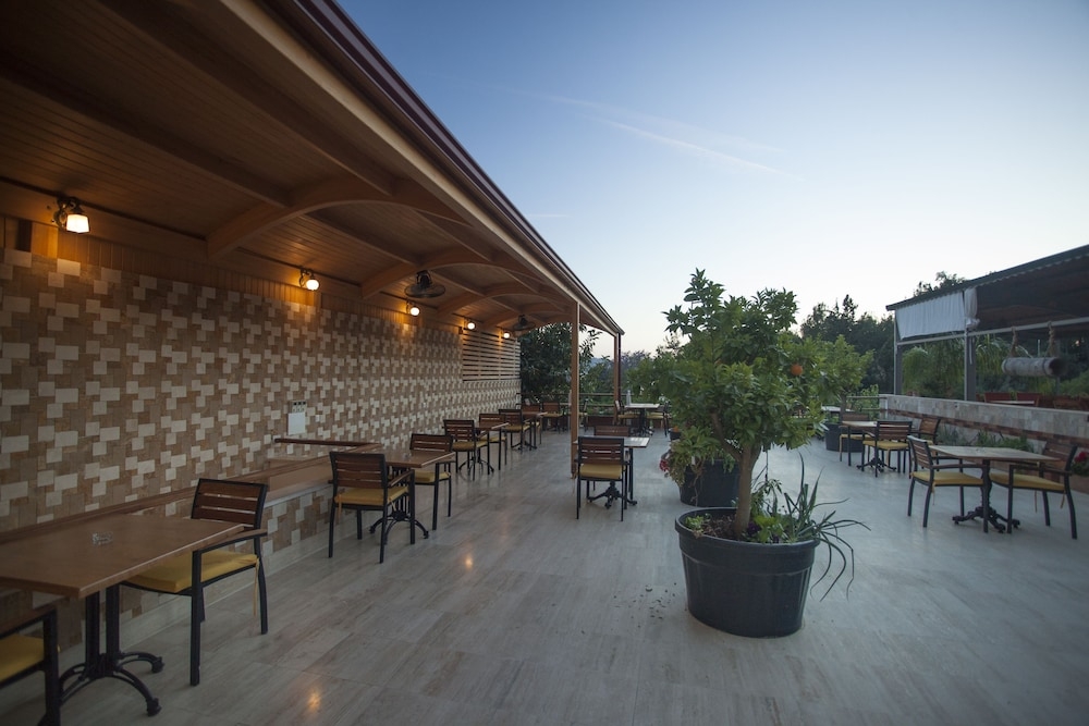 テラス / パティオ