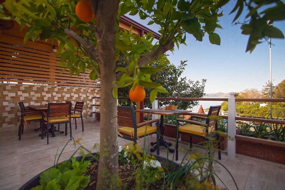 施設からの眺望