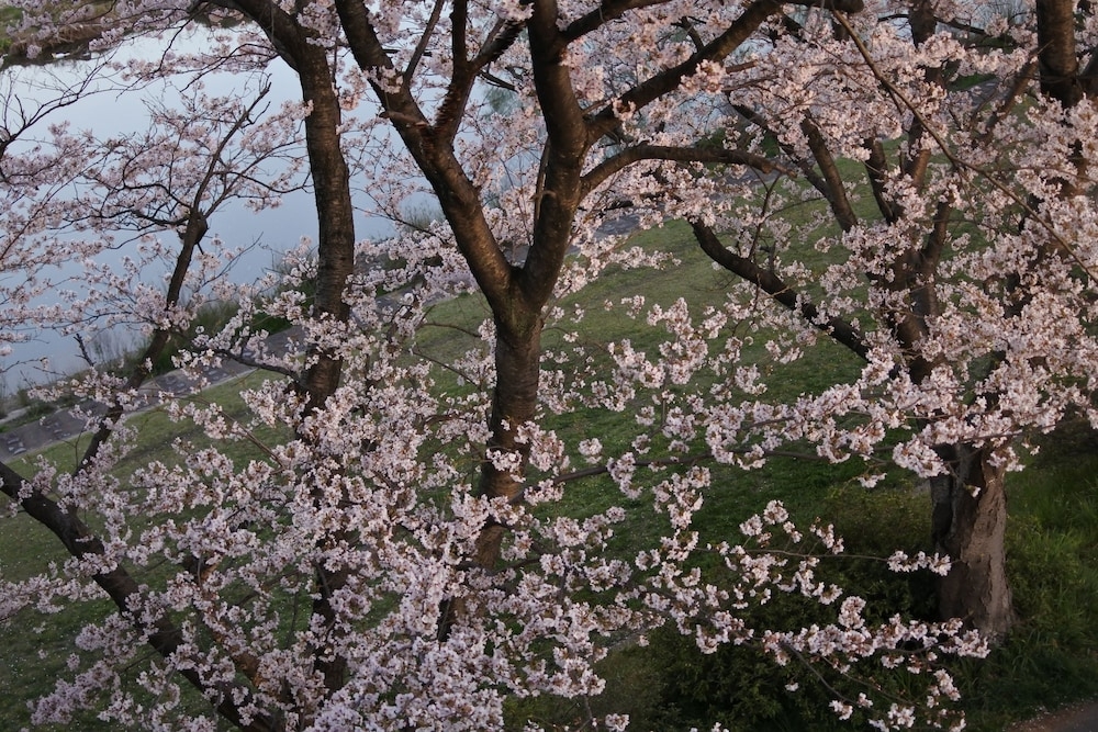 施設からの眺望