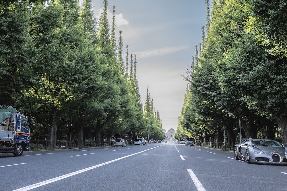 施設からの眺望