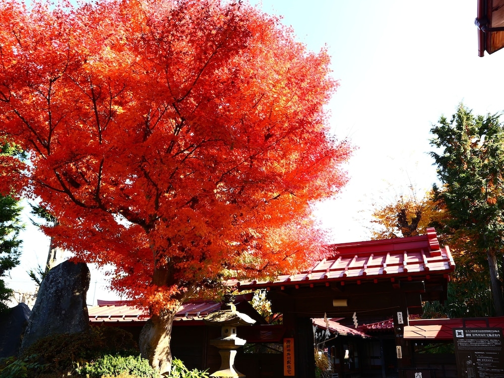 施設からの眺望