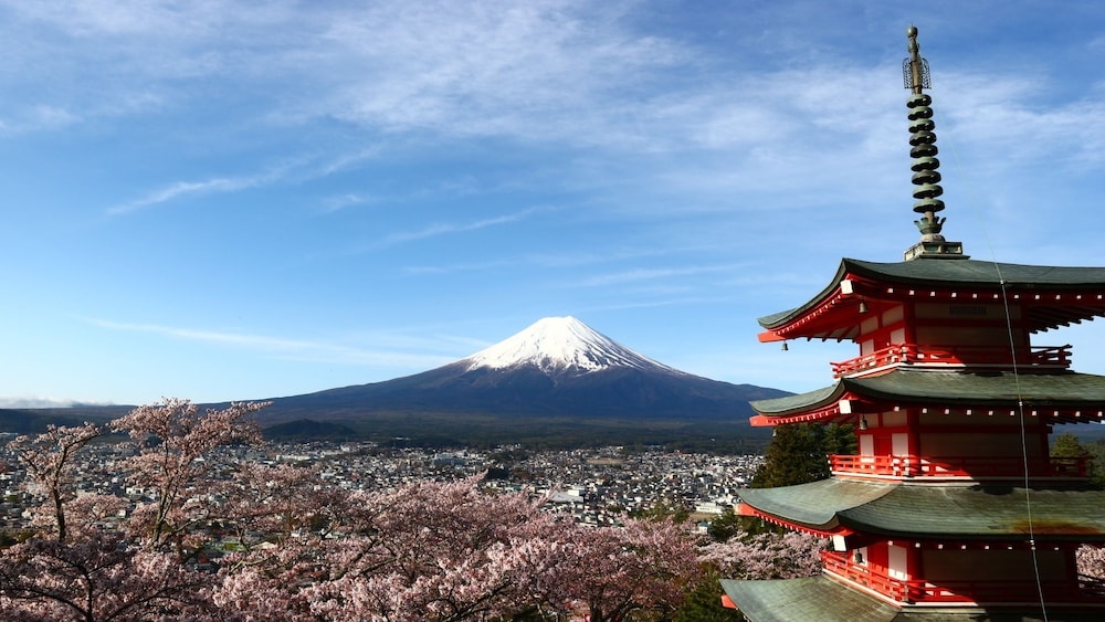 マウンテン ビュー