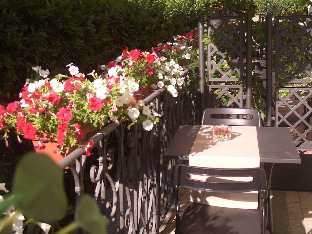 テラス / パティオ