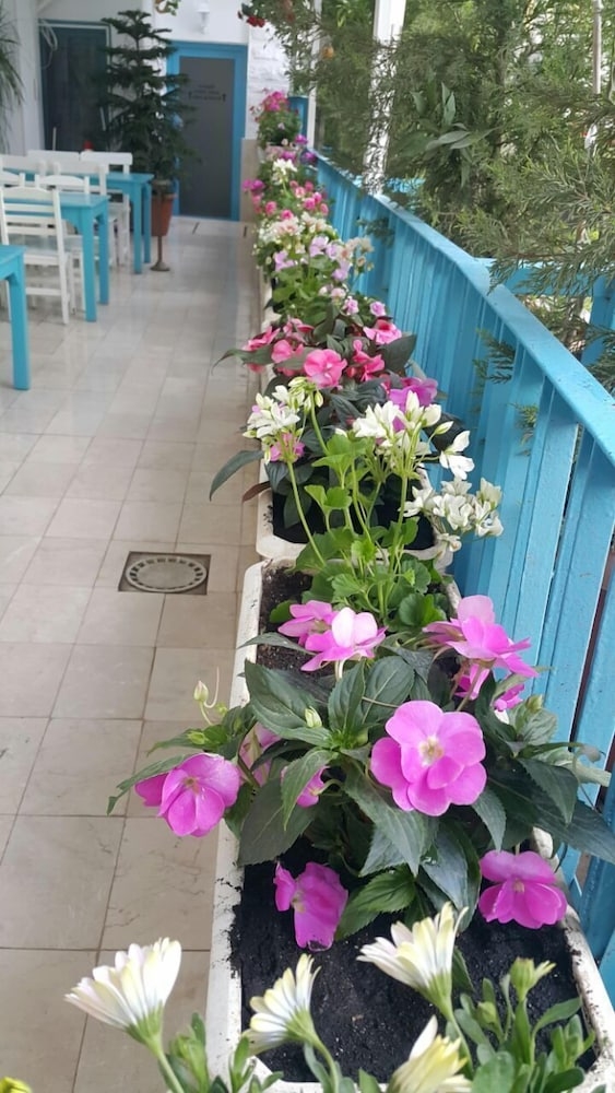 メイン イメージ