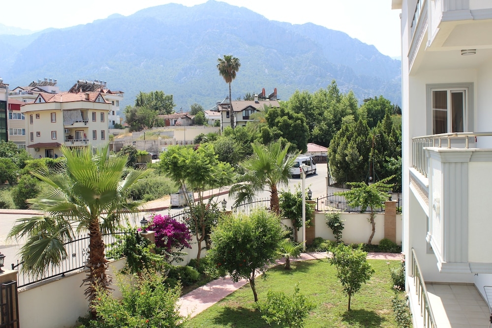 テラス / パティオ