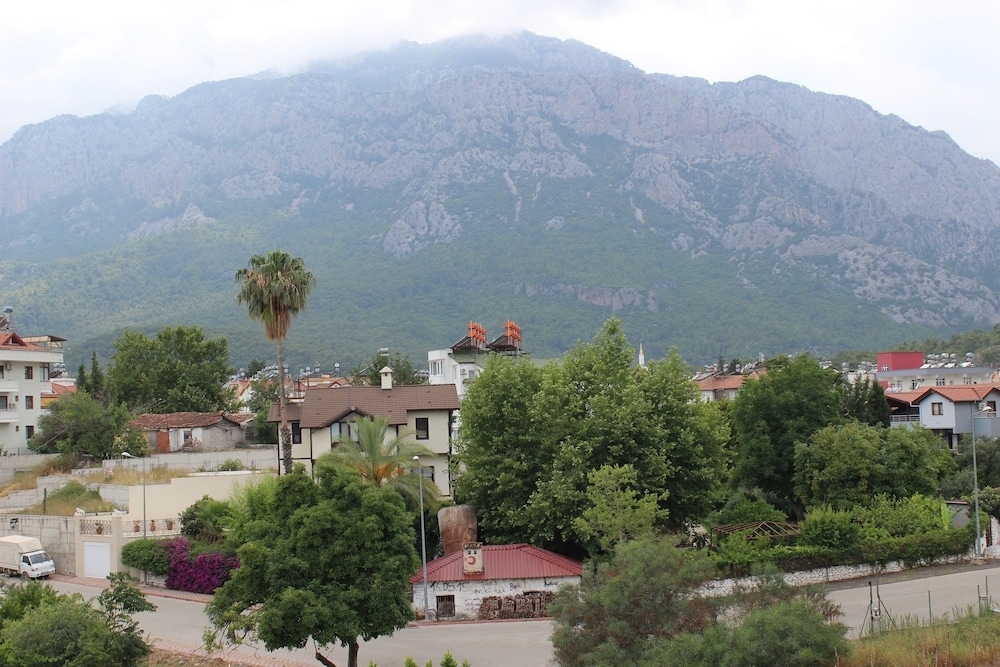 マウンテン ビュー