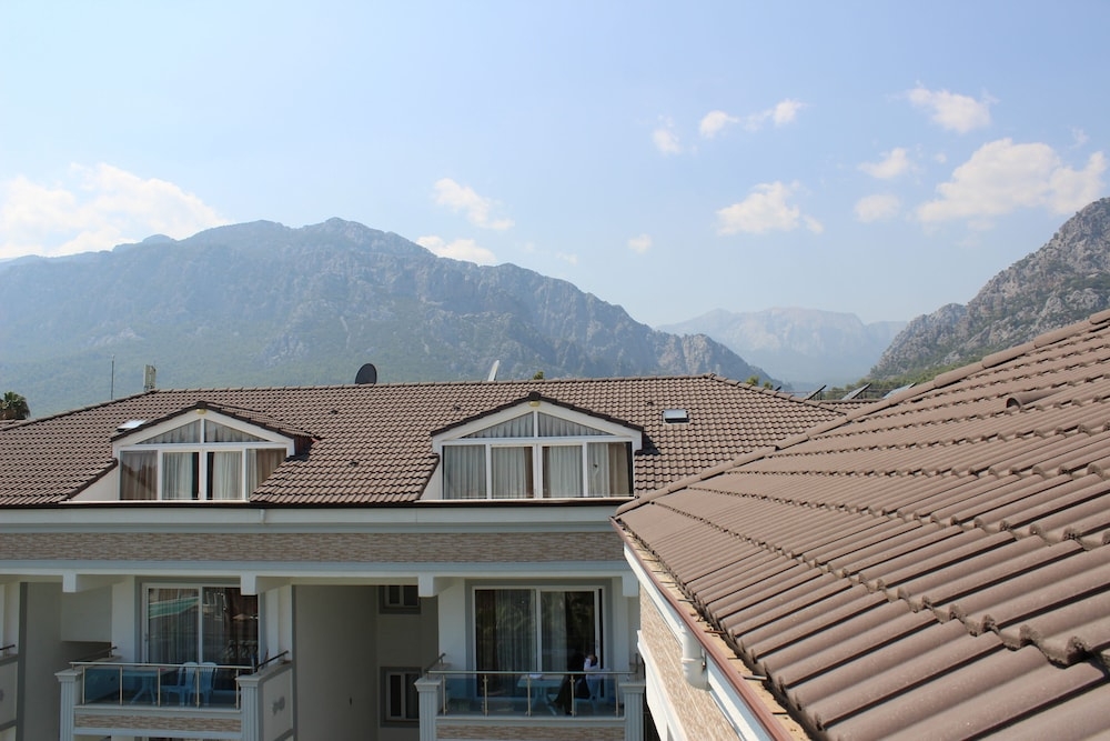 マウンテン ビュー