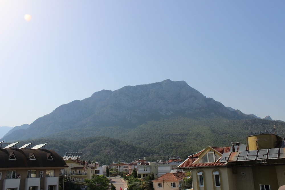 マウンテン ビュー