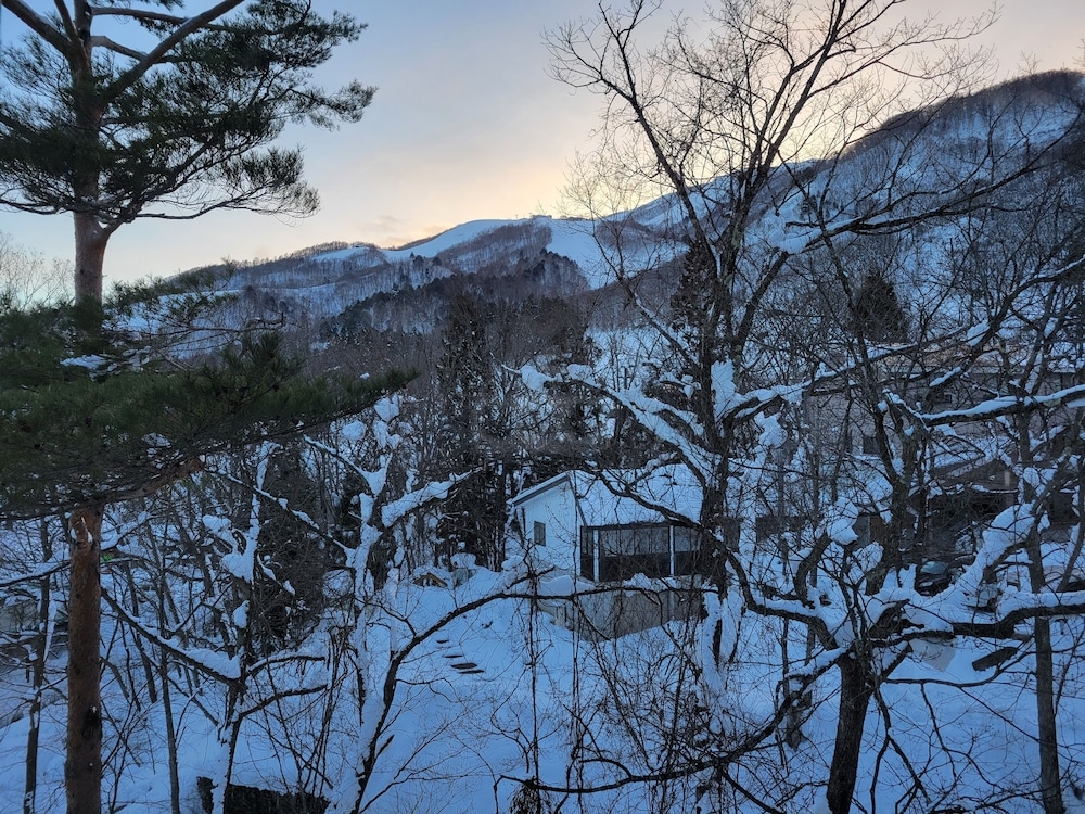 マウンテン ビュー