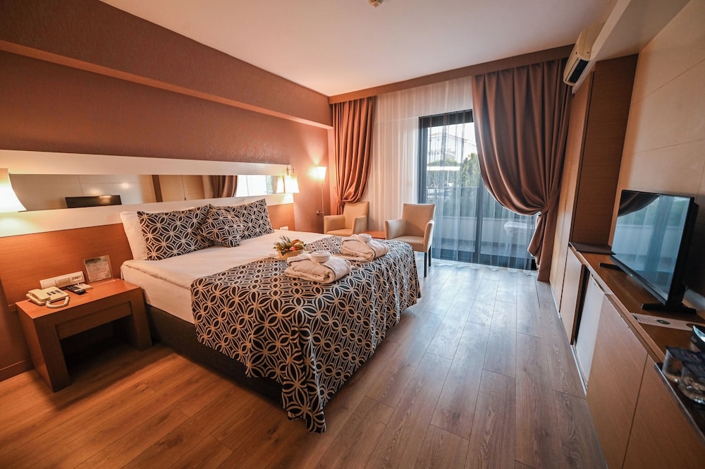 メイン イメージ