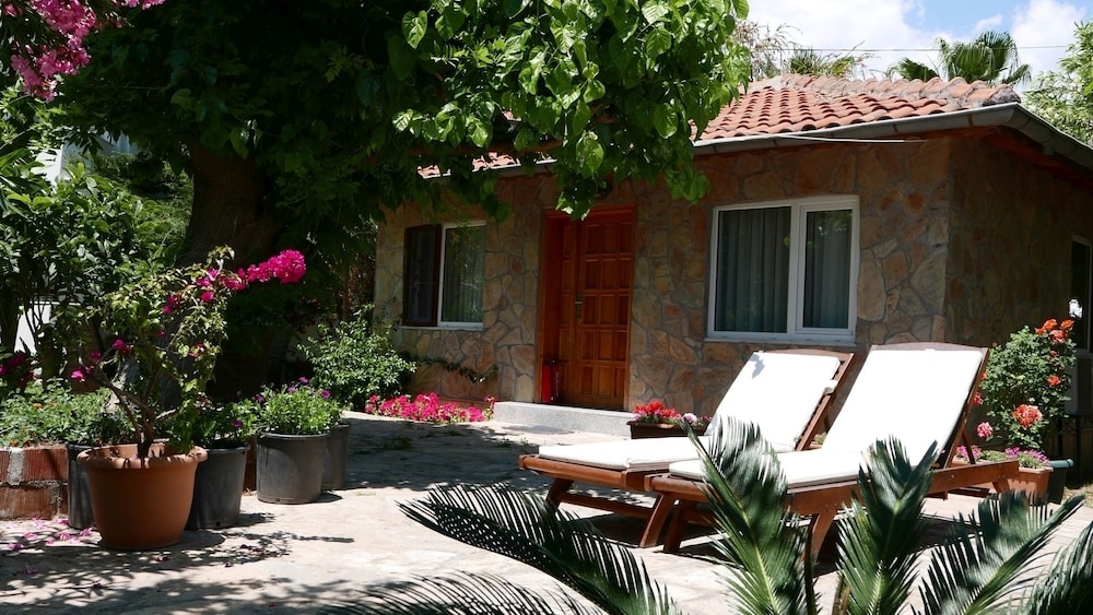 メイン イメージ