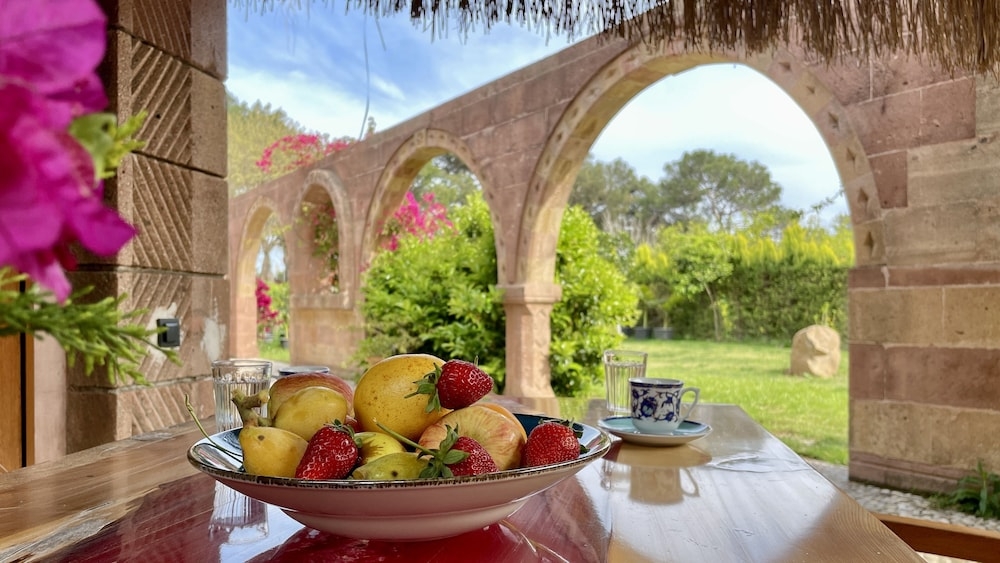 テラス / パティオ