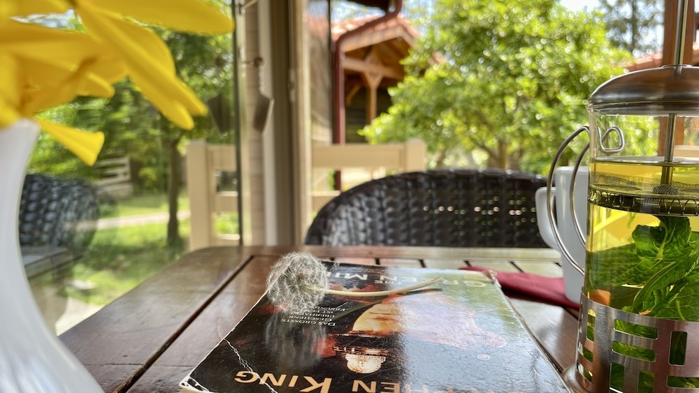 テラス / パティオ