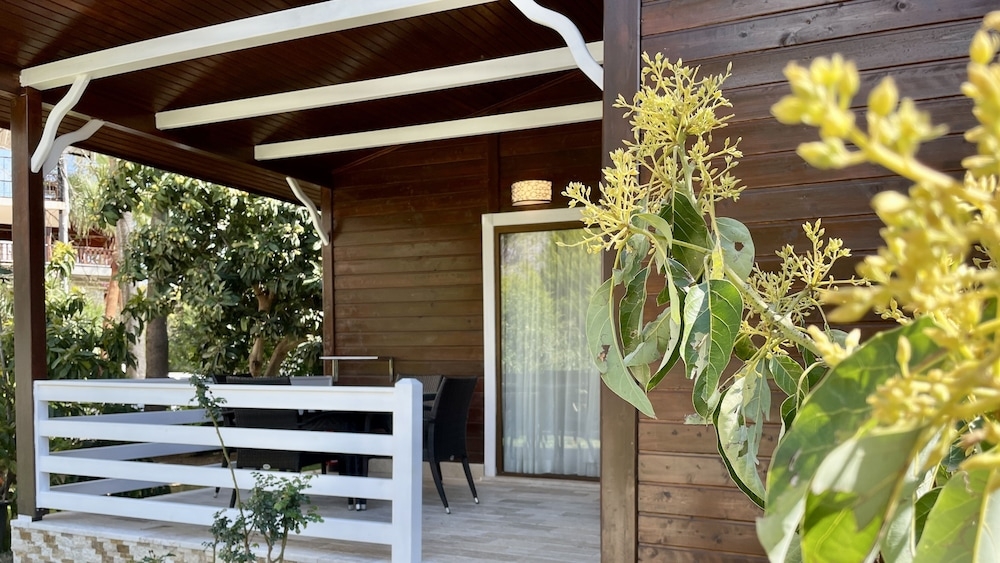 テラス / パティオ