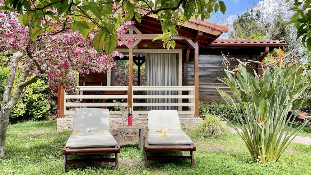 バルコニーからの眺望