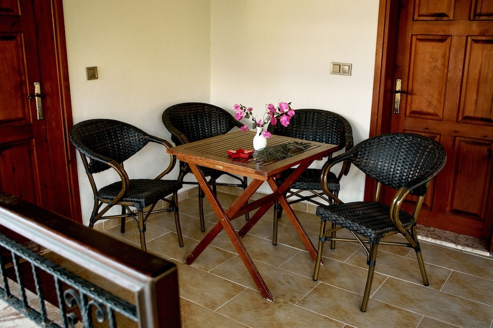 テラス / パティオ