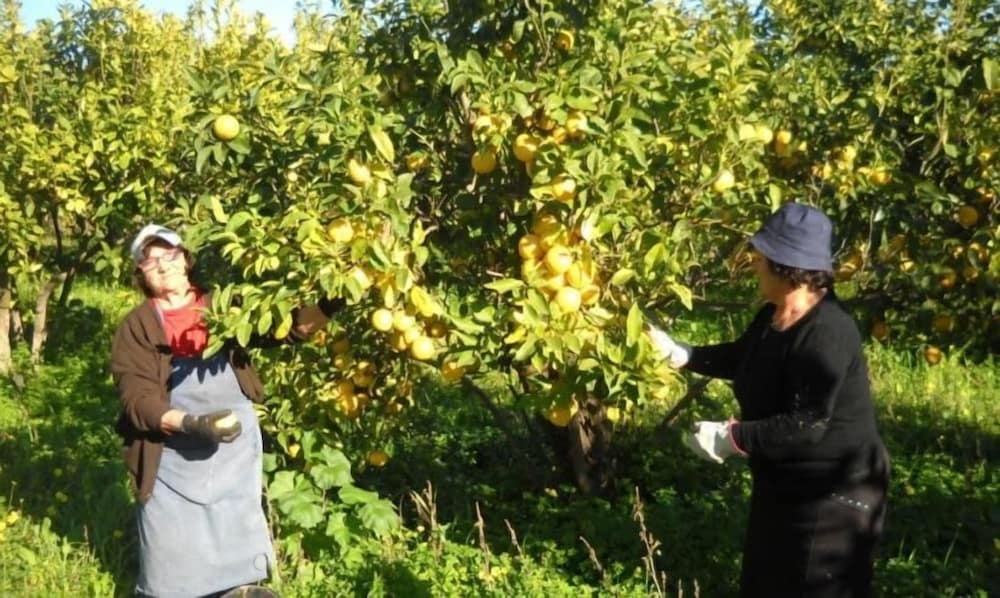 フィットネス設備