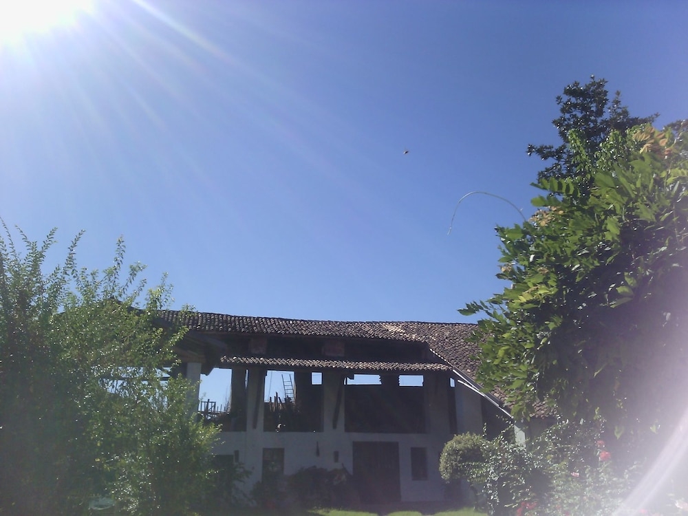 バーベキュー / ピクニック エリア