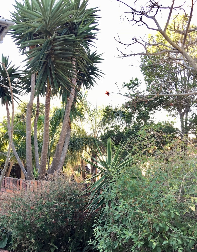 部屋からの景観