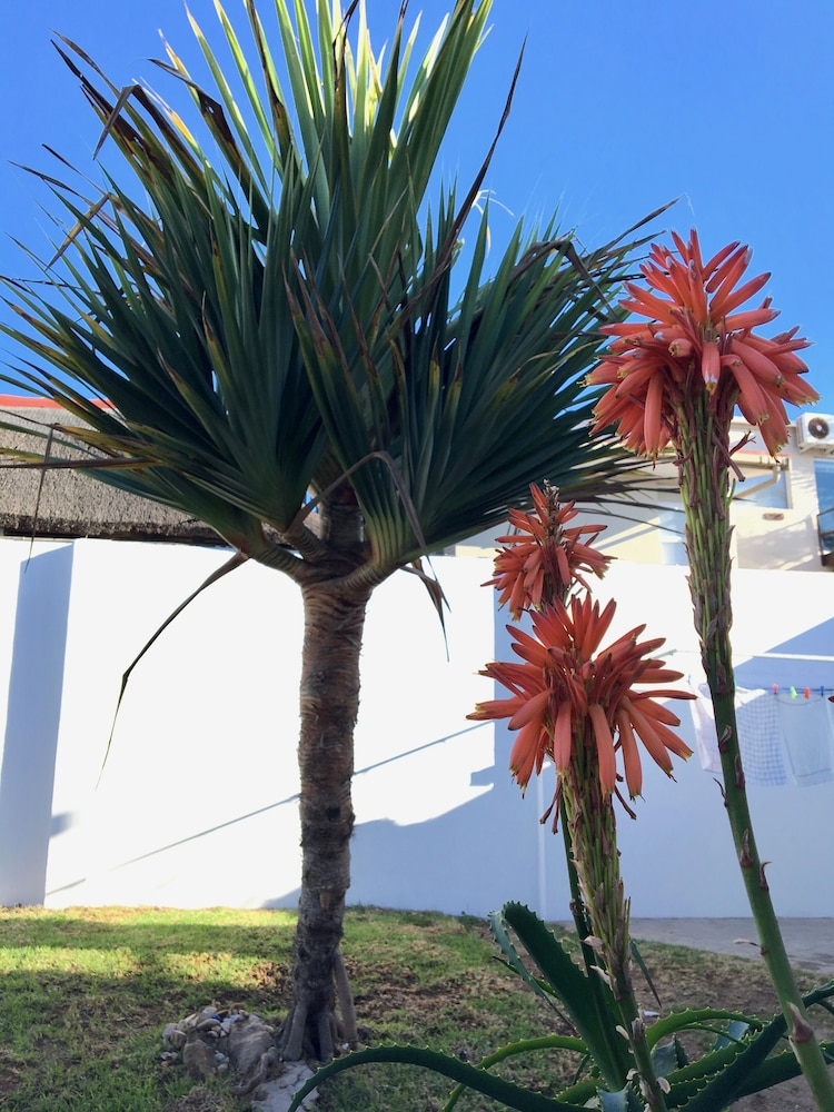 部屋からの景観