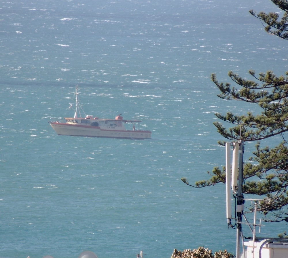 ビーチ / オーシャン ビュー