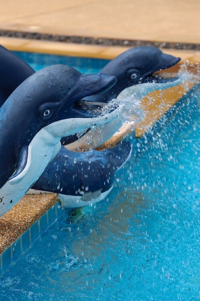 エクササイズ / ラッププール