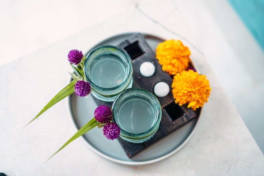 客室の設備とサービス