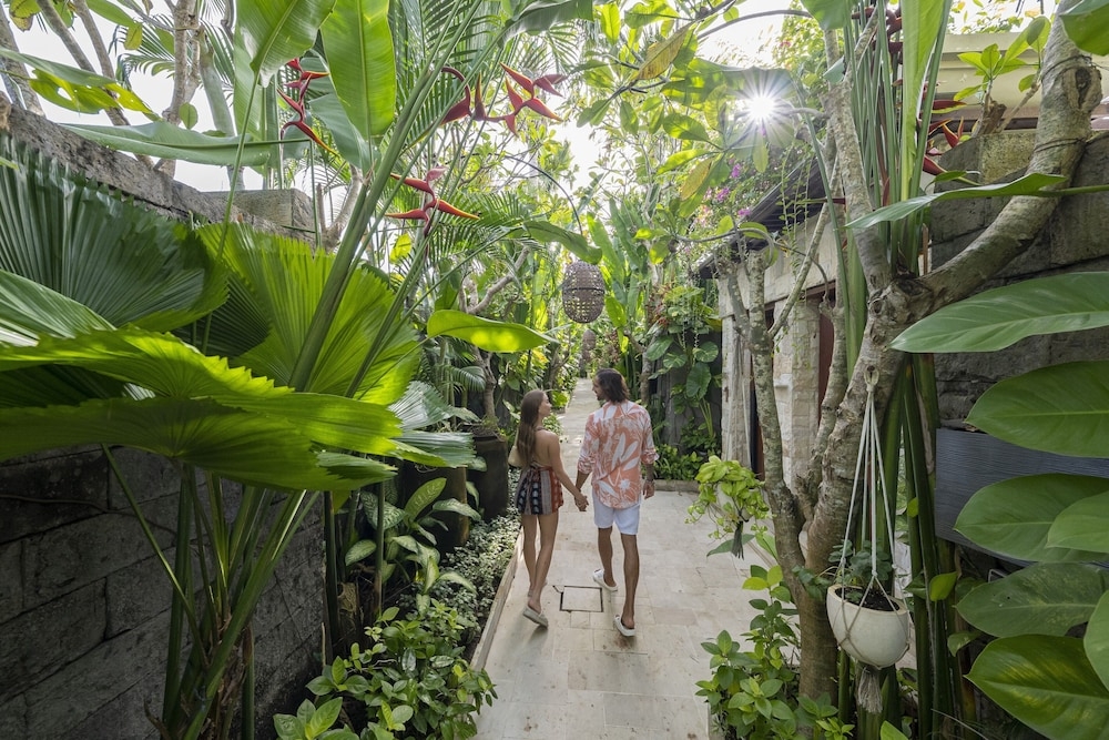 テラス / パティオ