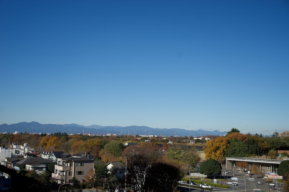 施設からの眺望