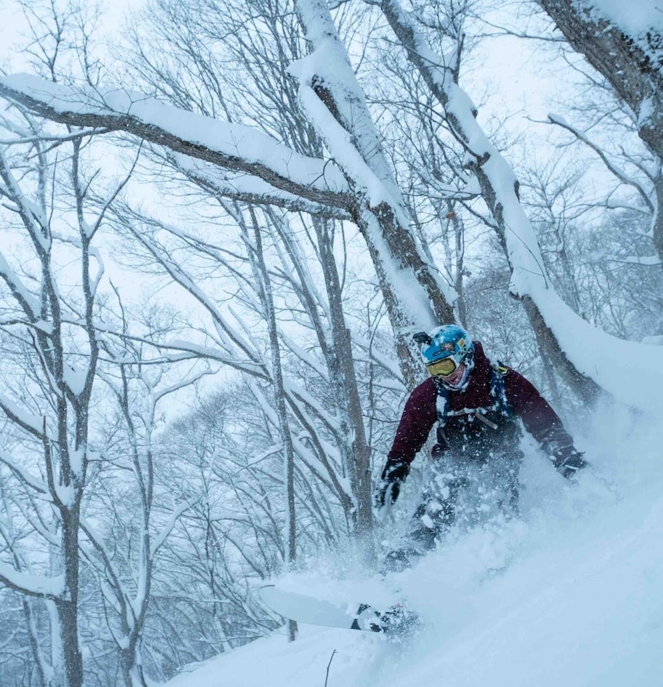 スノー スポーツとスキー