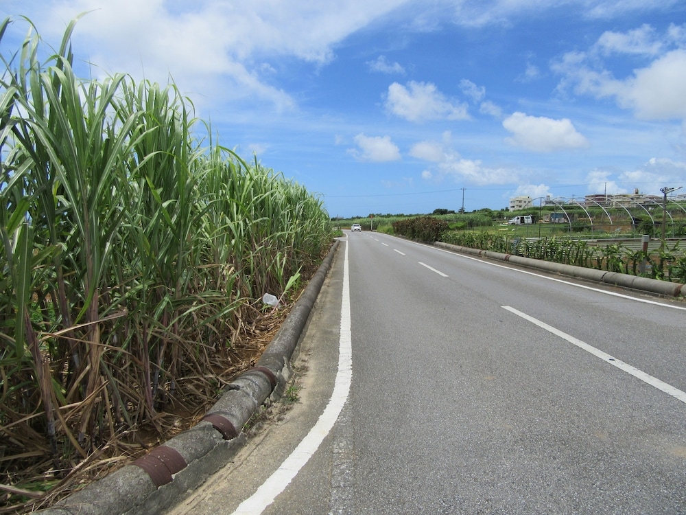 施設からの眺望