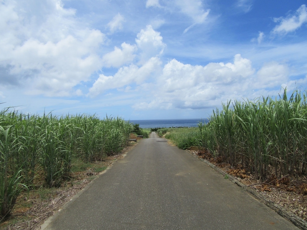 施設からの眺望