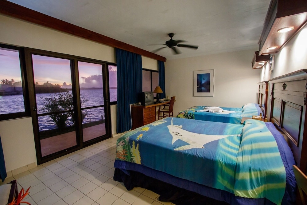 部屋からの景観