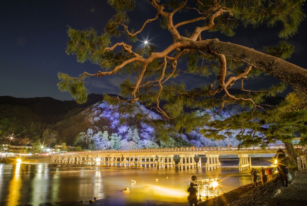 マウンテン ビュー