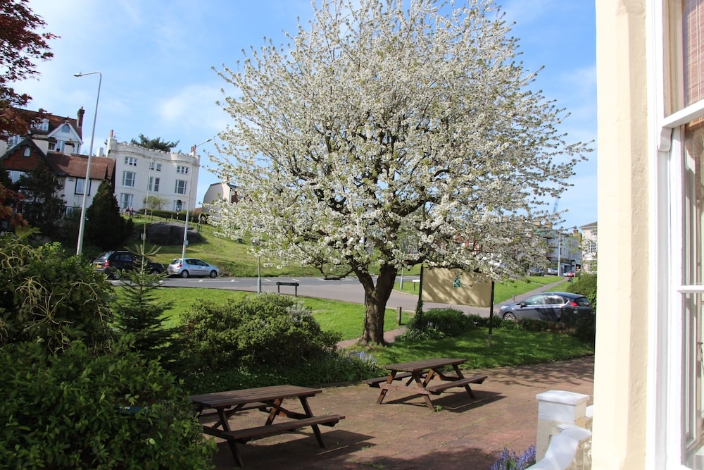 テラス / パティオ