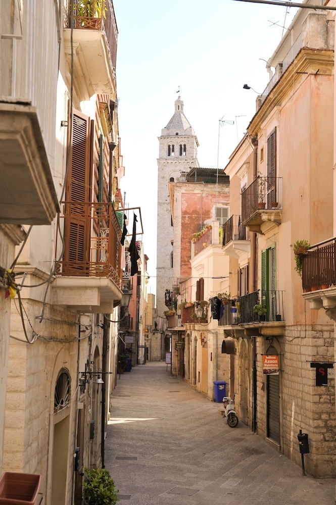 施設からの眺望