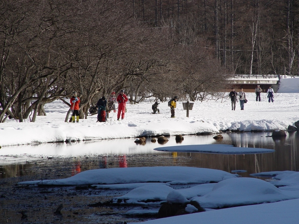 スノー スポーツとスキー