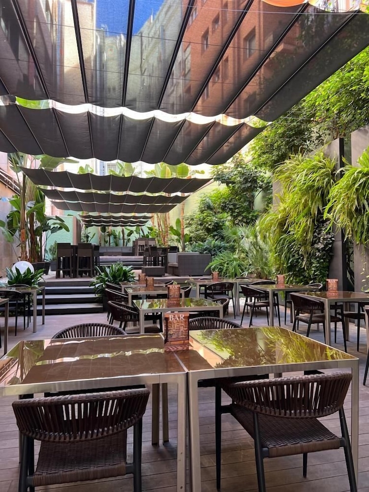 テラス / パティオ