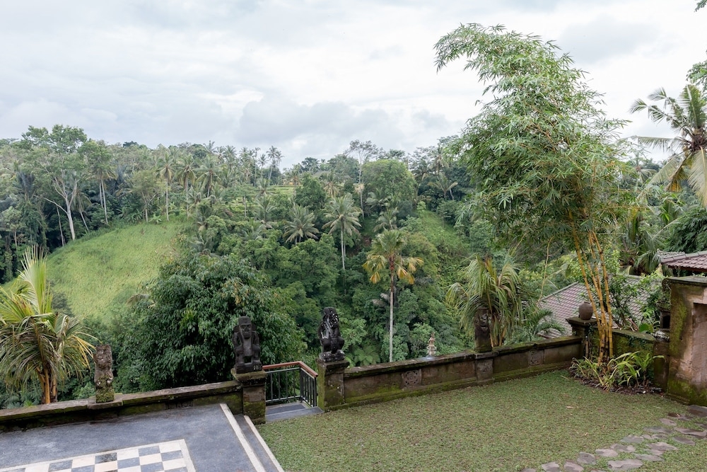 施設からの眺望