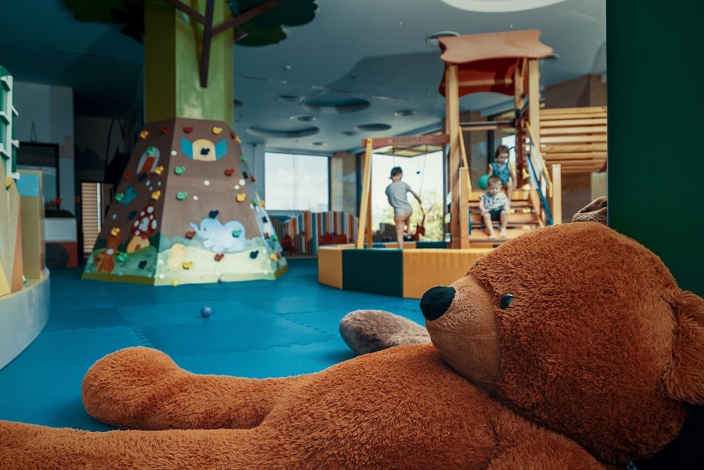 子供用の遊び場 - 屋内