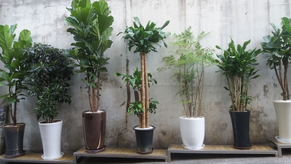 部屋からの景観